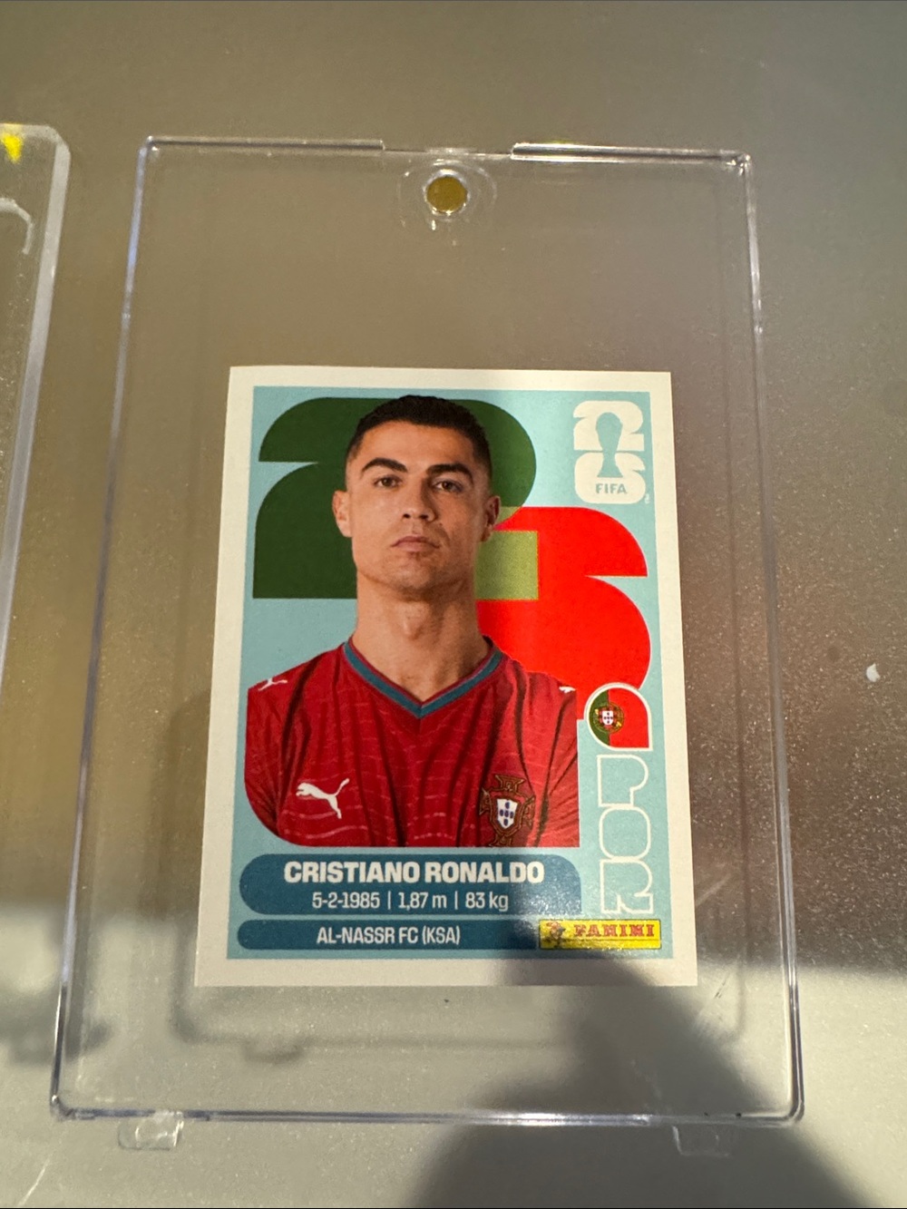 FIFA Panini World Cup Sticker: Ronaldo
